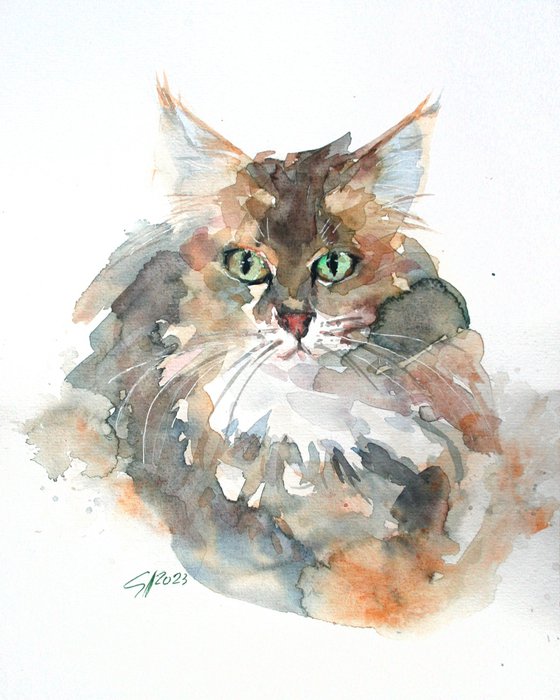 CAT.., SKETCH / ORIGINAL WATERKOLOR PAINTING