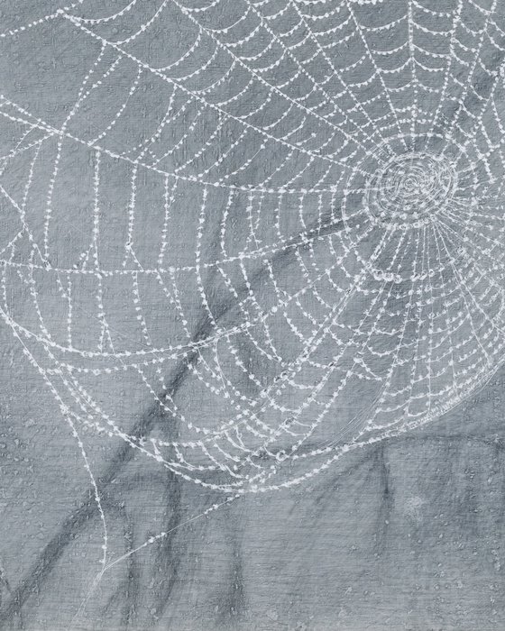 Spiderweb: Lace Doily