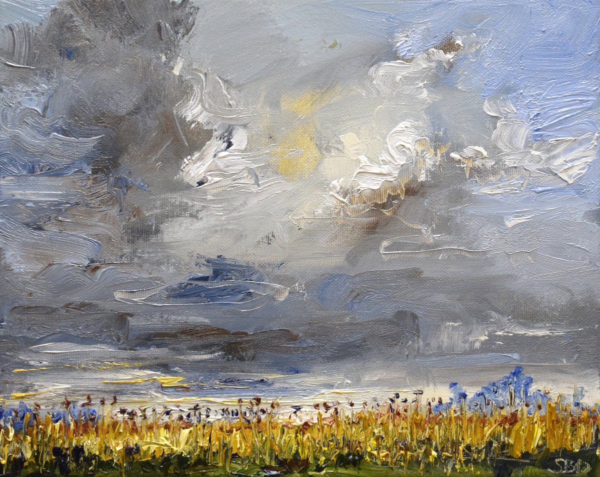Impressionistic Landscape Oil Painting By Sonja Brussen, 13 X 10", Cumulus, Original Artwork