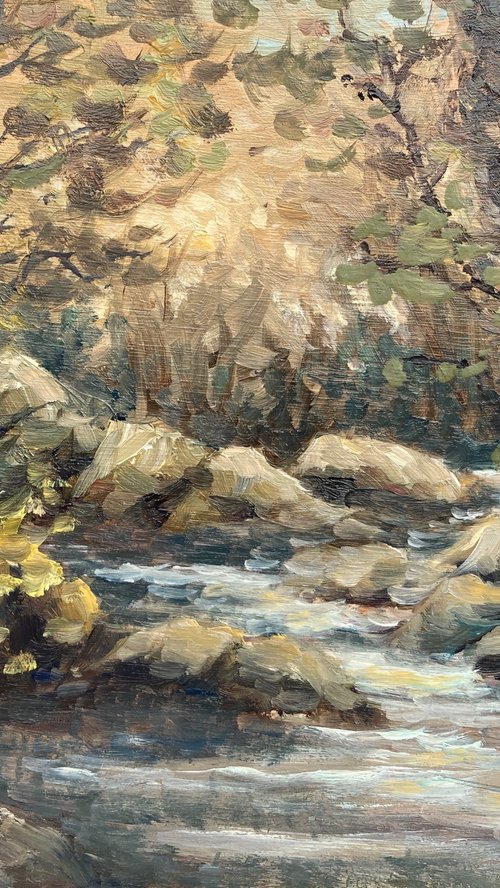Colly Brook at Peter Tavy by David Mather