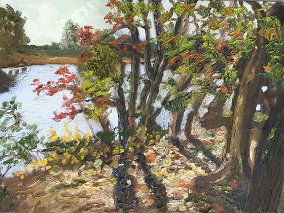 Lakeside near Brockenhurst