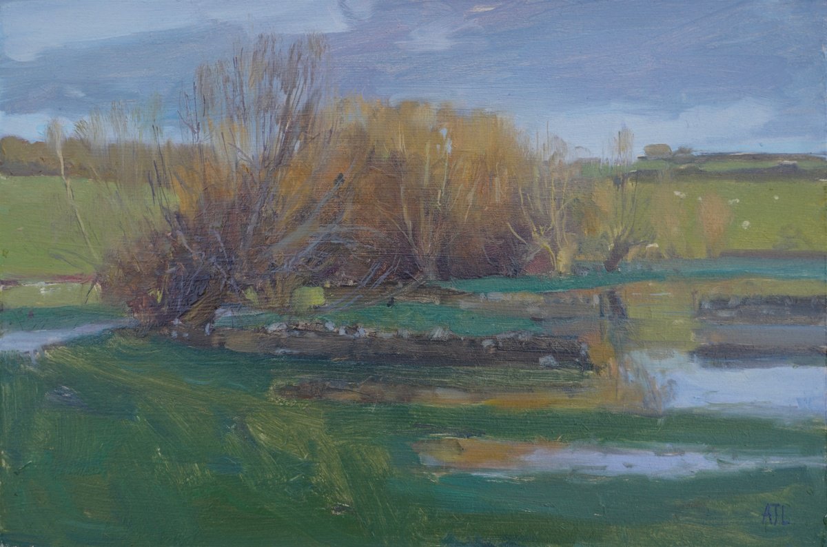 Impressionistic Landscape Oil Painting By Alex James Long, 12 X 8, Flooded Fields, Asthall, Original Artwork