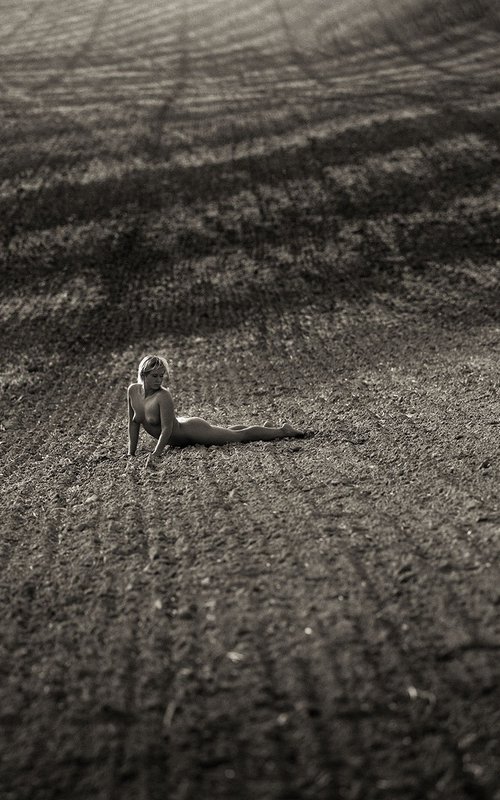 Telluric Fields II. by Peter Zelei