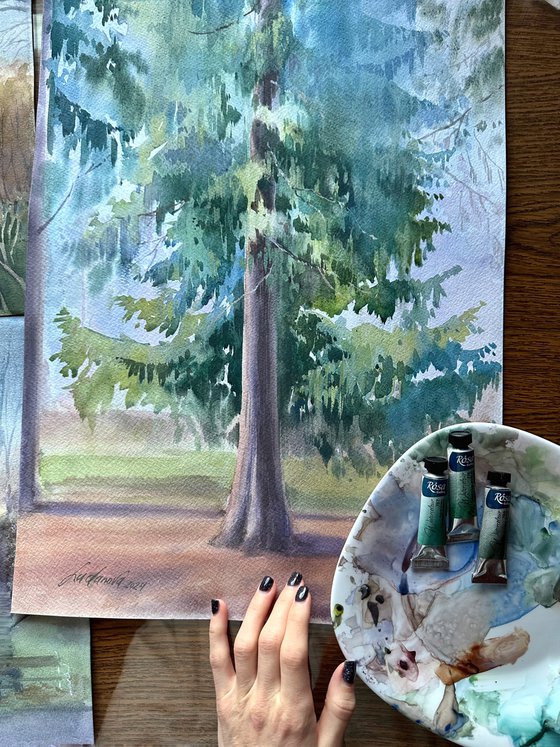 Pine