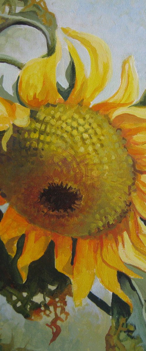 Sunflower 2 by Elena Oleniuc