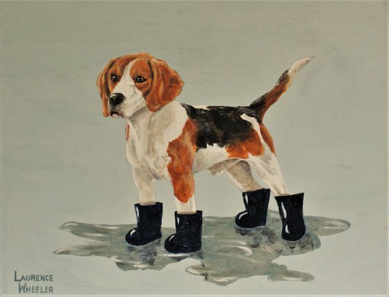 Beagles love their Boots!'