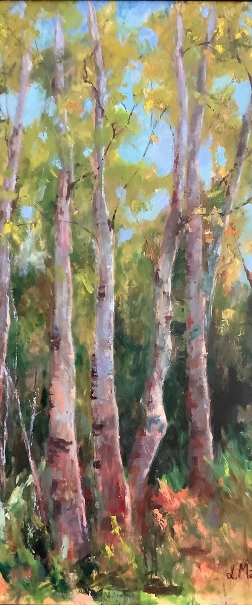 Trees by Lia Matevosyan Haselton