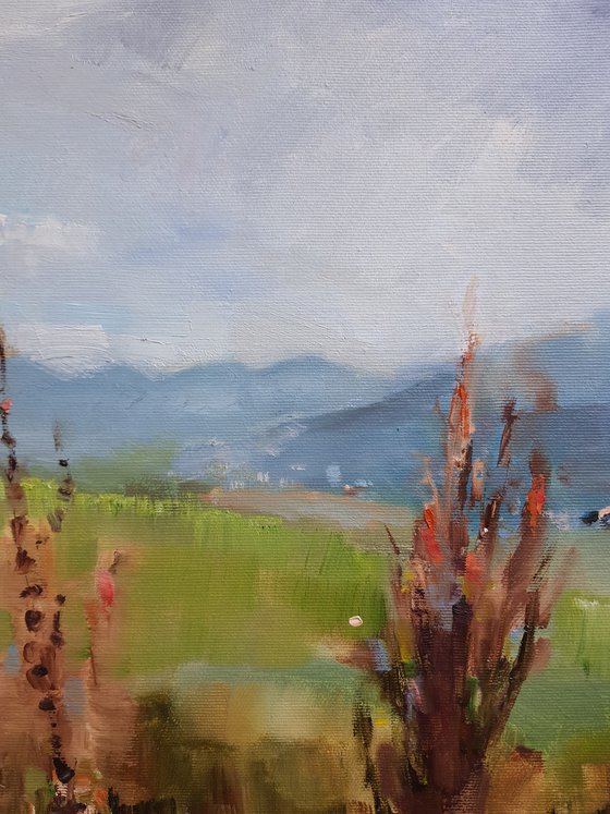 Tall grasses