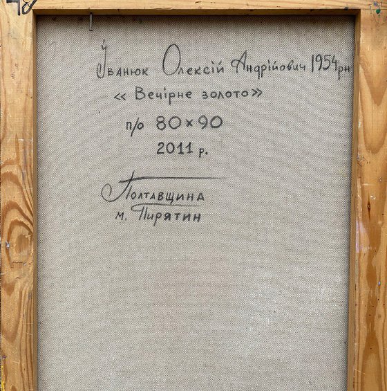 Evening Gold of the Forest