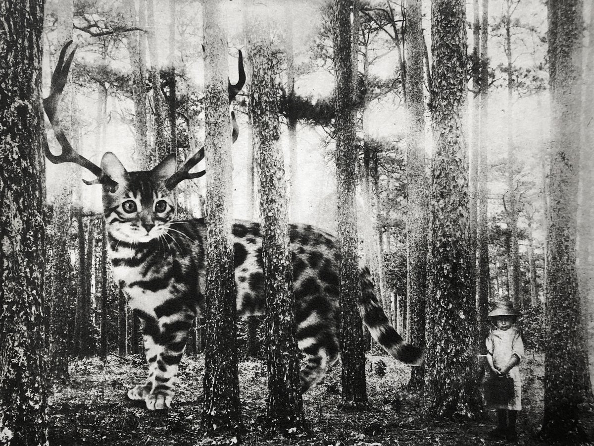 Surrealistic Etchings & Engravings , Exterior No.28: Deercat By Jaco Putker, 13 X 10, Artwork For Sale On Artfinder
