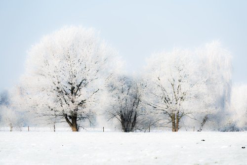 Winterday 2 by Dieter Mach