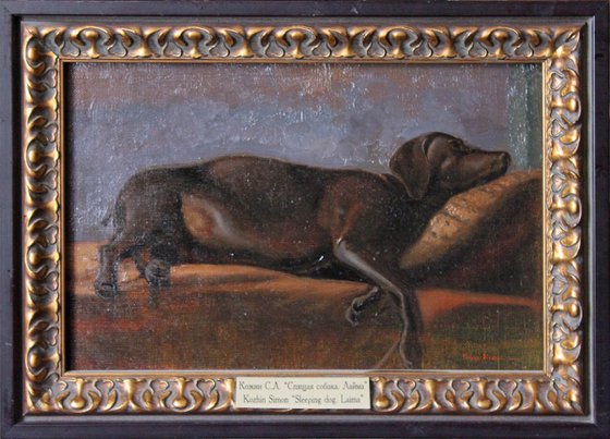 Sleeping dog Layma