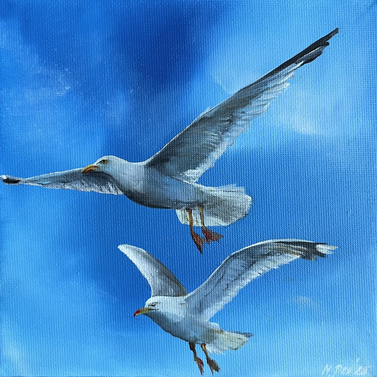 Photorealistic Animal Oil Painting By Myroslava Denysyuk, 6 X 6", Seagulls, Original Artwork