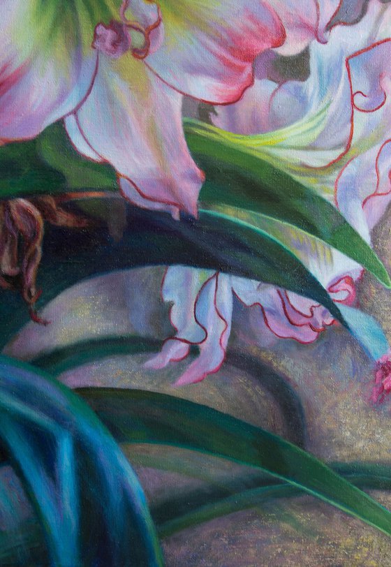 Pink Amaryllis Triptych