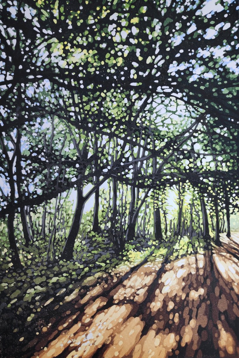 Late Summer Woodland by Alexandra Buckle