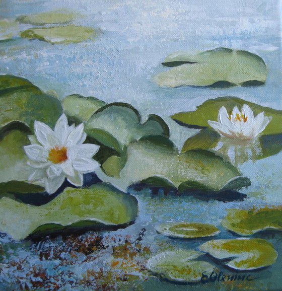 Waterlilies pond