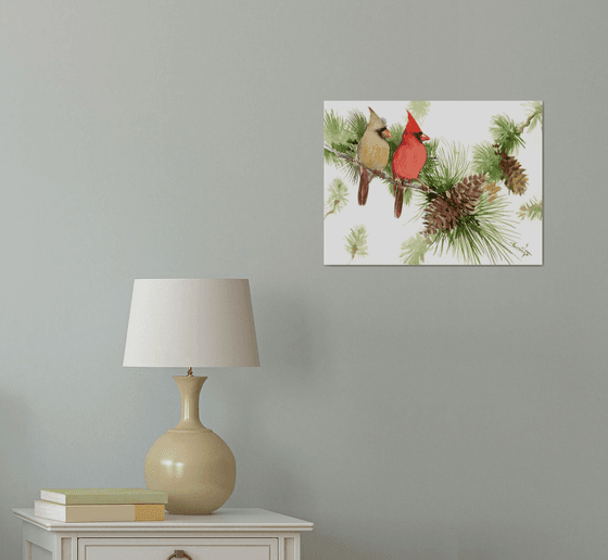Cardinal Birds