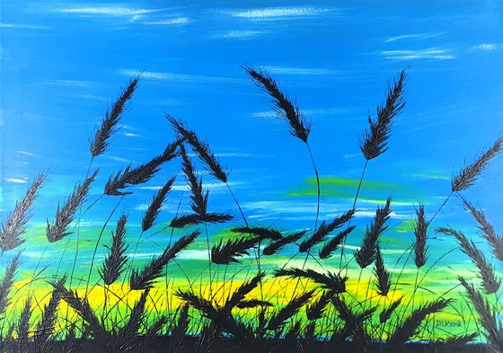 Sunrise in the grass