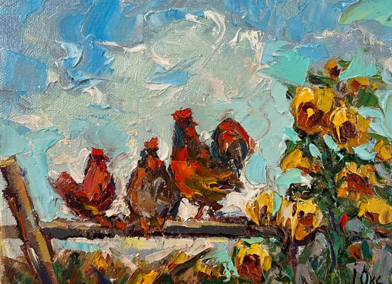 Morning rooster crowing