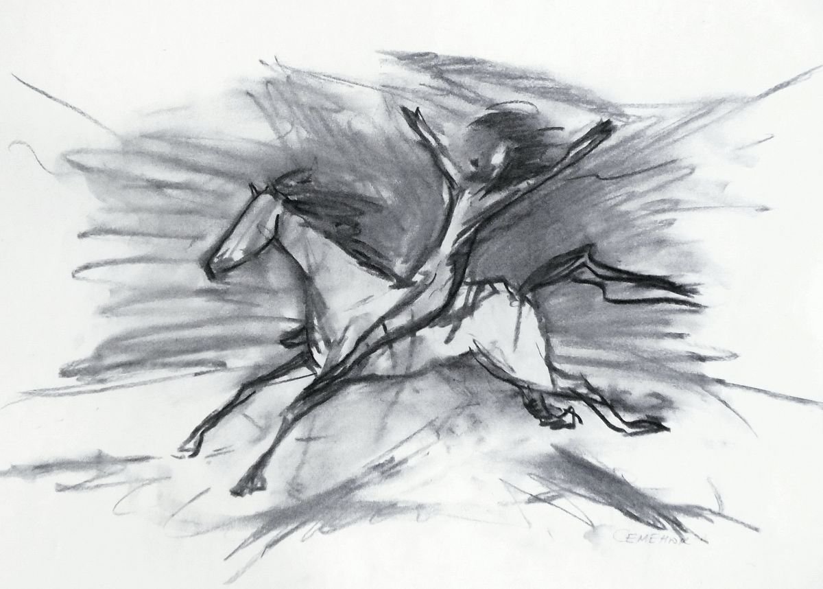 Horsewoman on a white horse by Evgen Semenyuk