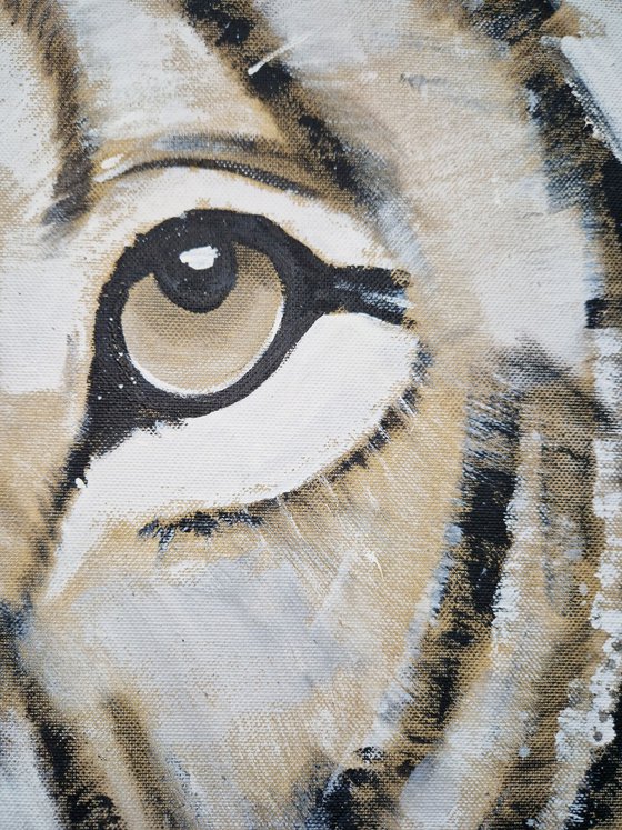 Lion #25 - Series BIG CAT