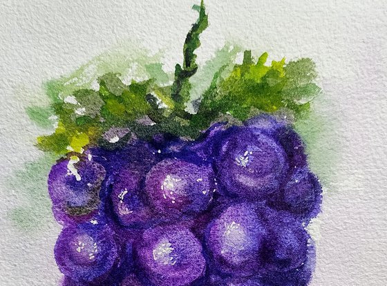 Purple grapes 1