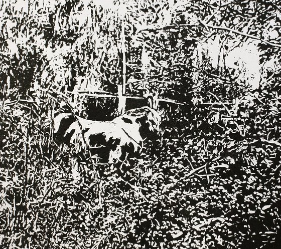 Forest Edge
