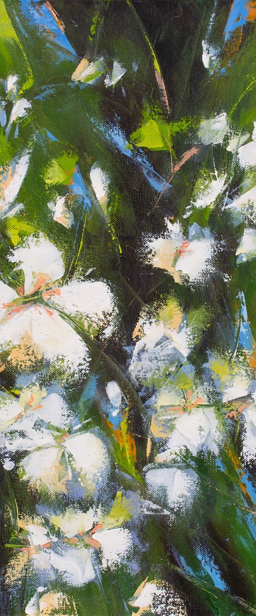 This Fleeting Beauty by Sue Rapley
