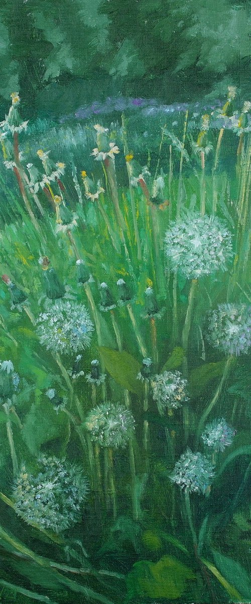 Dandelions by Juri Semjonov