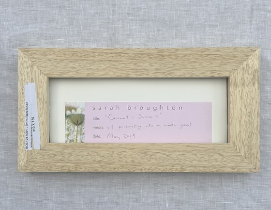 Cornwall in Summer ii