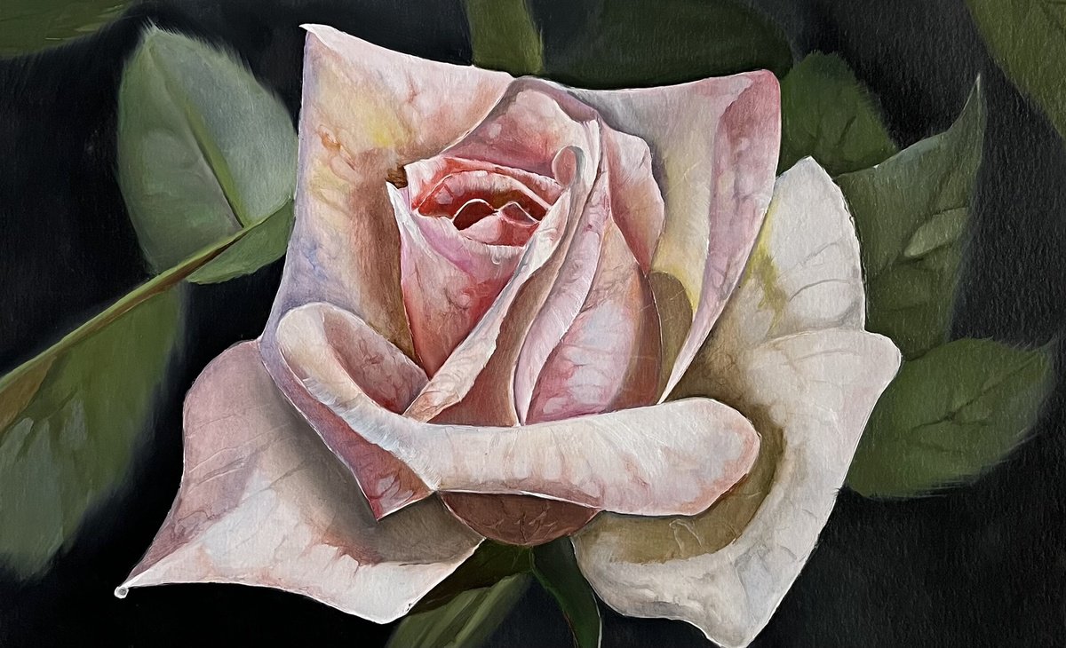 Photorealistic Oil Painting , Rose Postcard By Myroslava Denysyuk, 12 X 8, Artwork For Sale On Artfinder