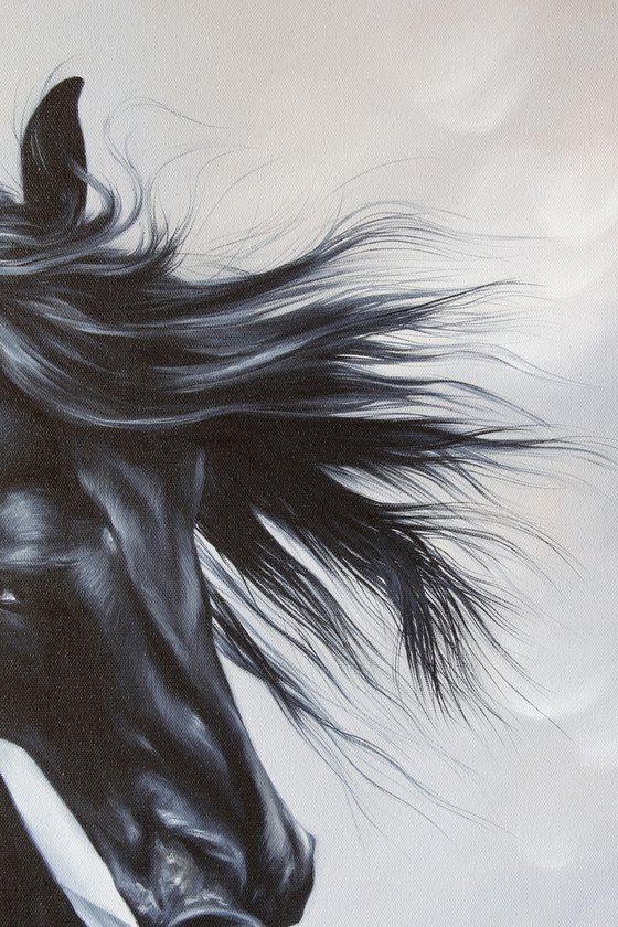 Friesian