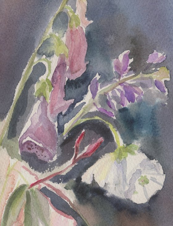 Evening flowers