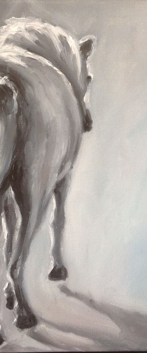 Misty by Louise Brown