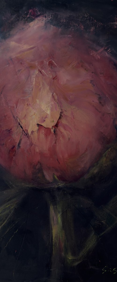 Pink peony by Liubou Sas