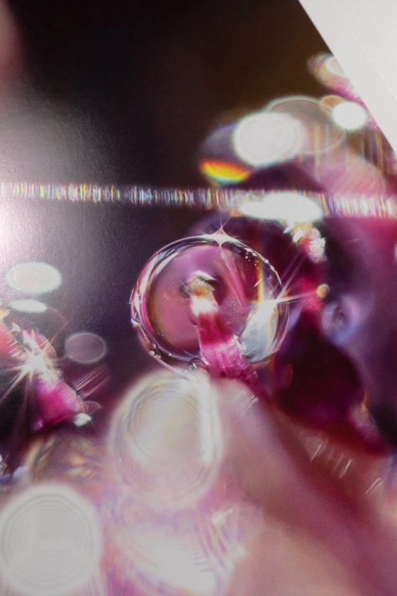 Purple Dreams - Studio Edition