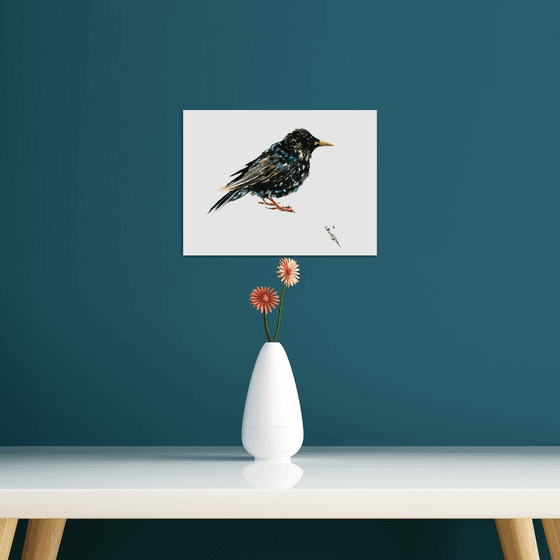 Starling