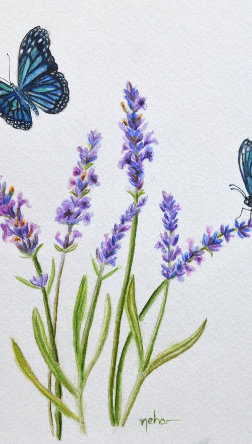 Butterfly and lavender by Neha Soni