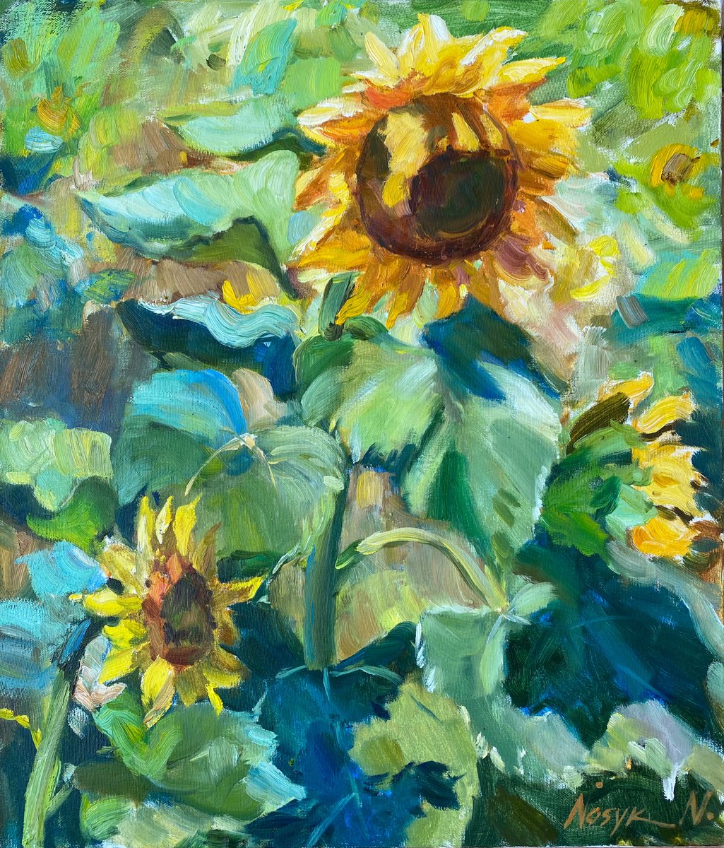 Sunflowers under the sun 60x70cm | oil painting on canvas flowers by Nataliia Nosyk