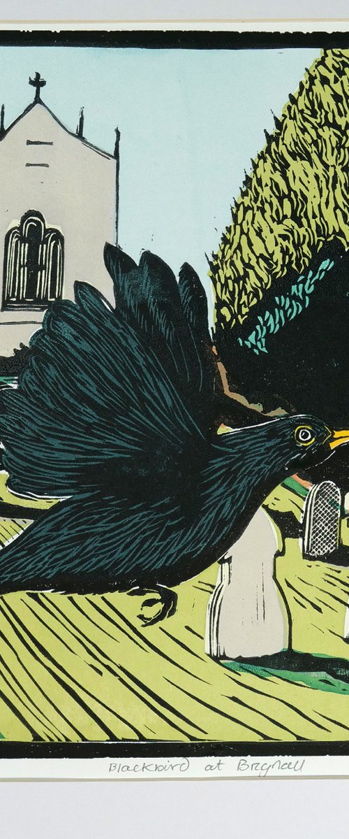 Blackbird at Brignall by Keith Alexander
