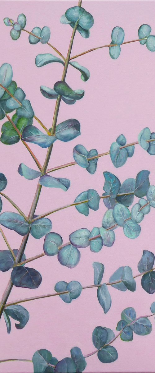 Eucalyptus Gunii by Jacqueline Talbot