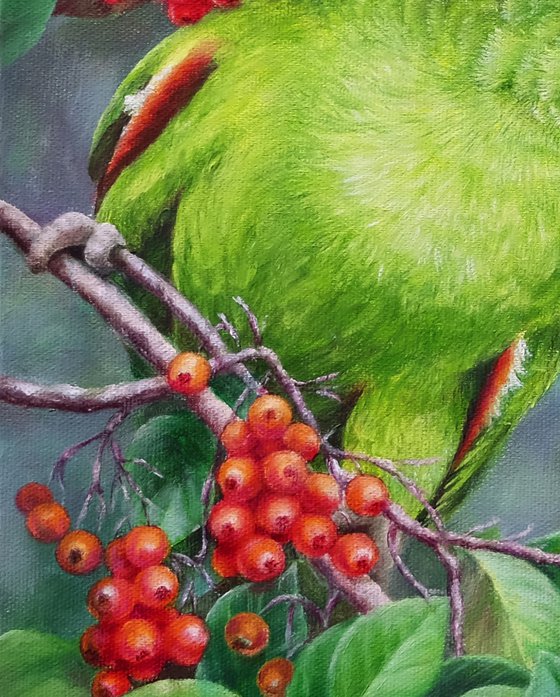 A Very Friendly Parrot