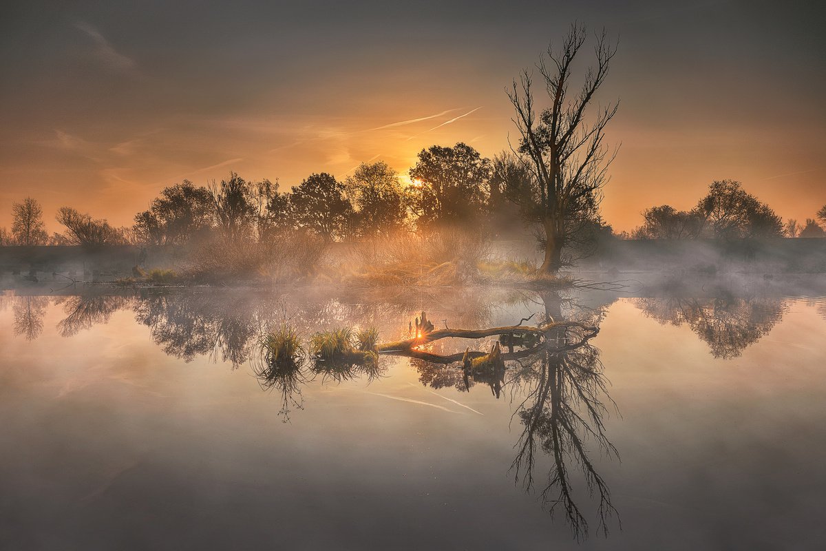 Autumn morning in lowlands by Kucera Martin