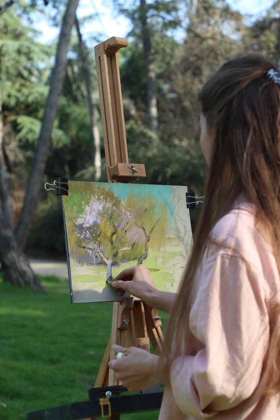 In a blossoming park