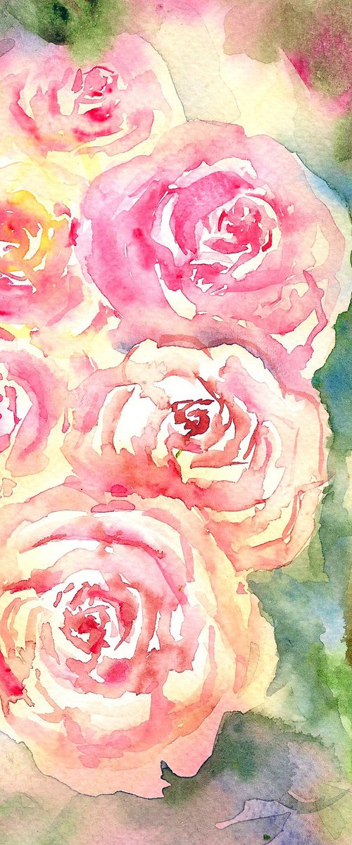 Pink English Roses by Asha Shenoy