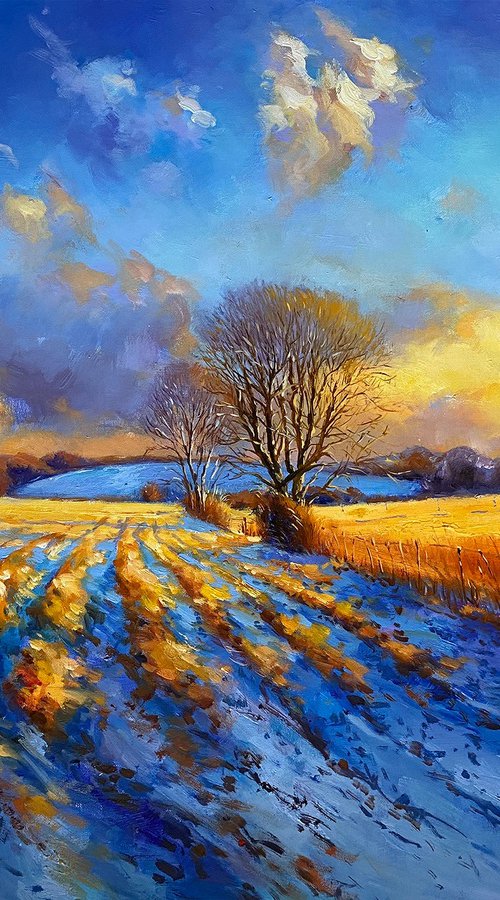 First Winter Snow by Conor McGuire