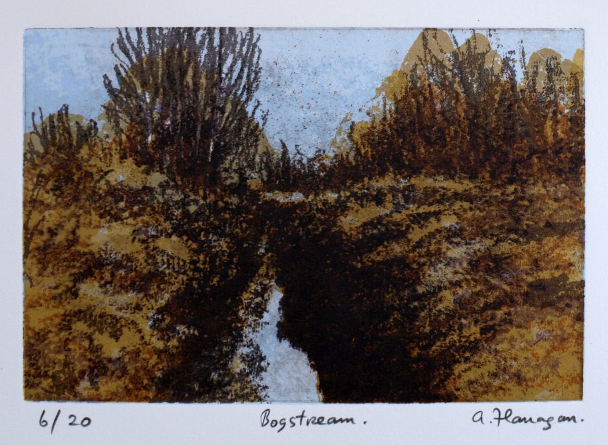 Bogstream by Aidan Flanagan Irish Landscapes