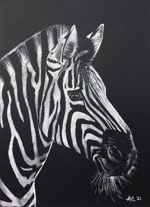 Zebra by Abigail Long