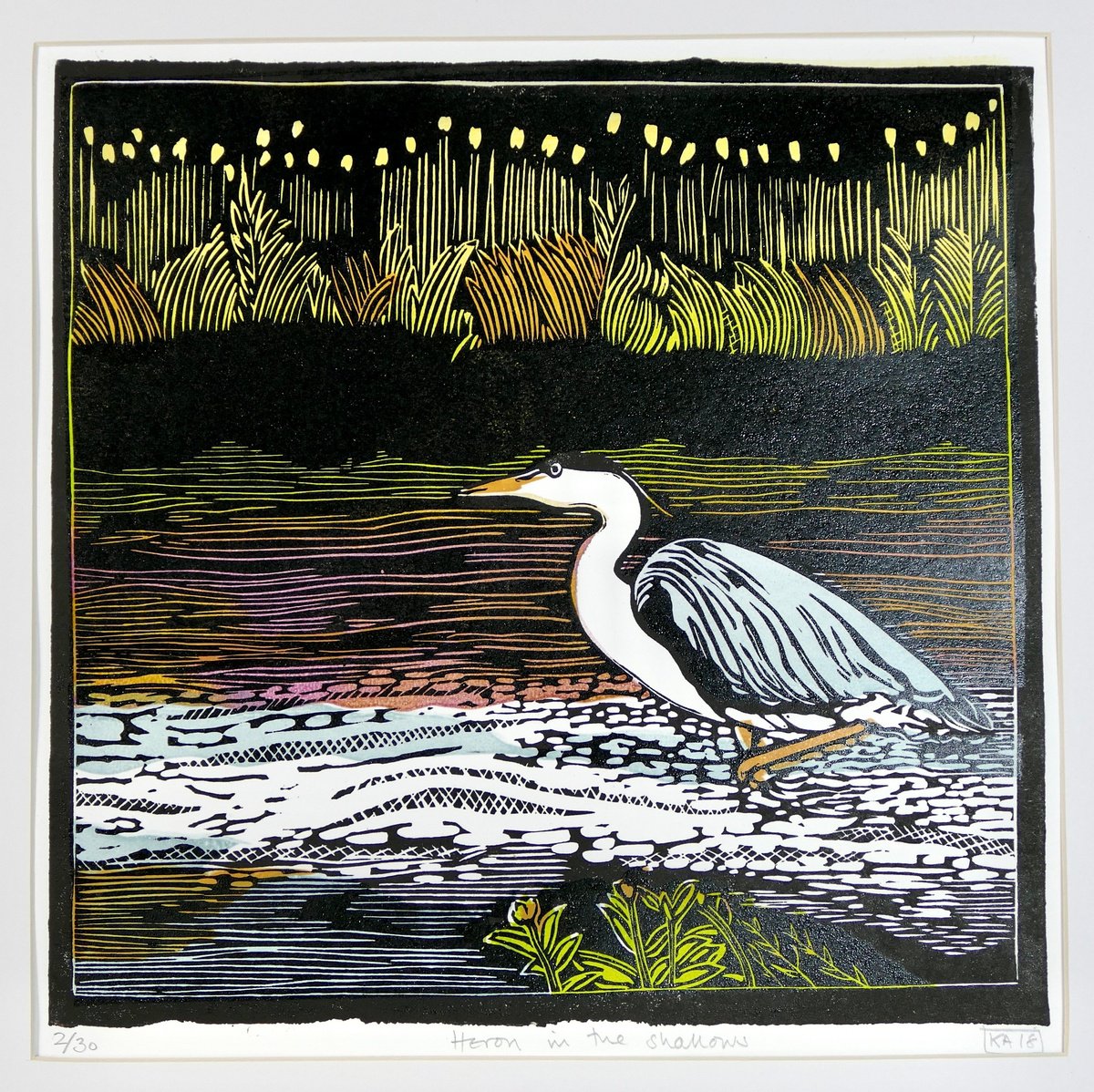 Heron in the shallows by Keith Alexander