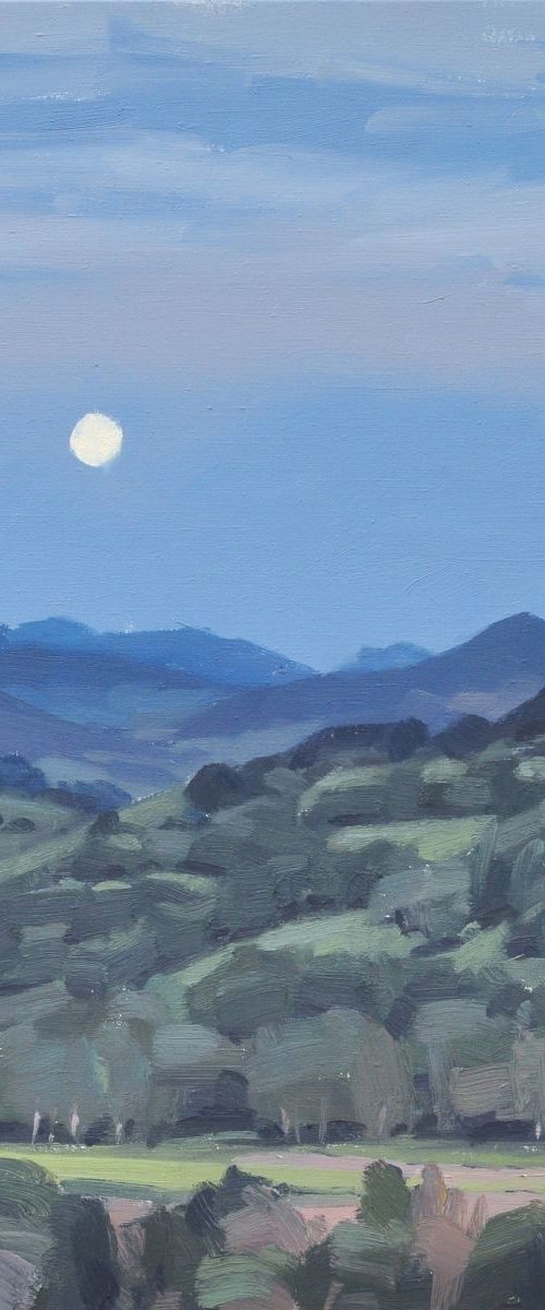 May 21, Roches de Mariol, moonrise by ANNE BAUDEQUIN